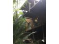 &#x27;The Tree House.&#x27; Treetop living near the ocean, Coolum Beach, QLD, Australia Villa, Coolum Beach - thumb 12