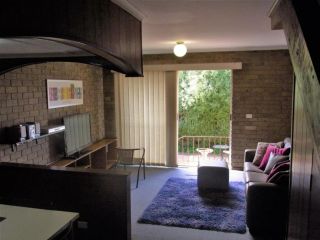 A Furnished Townhouse in Goulburn Villa, Goulburn - 2