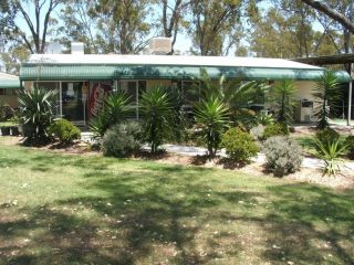 AAOK Jandowae Accommodation Park Campsite, Queensland - 2