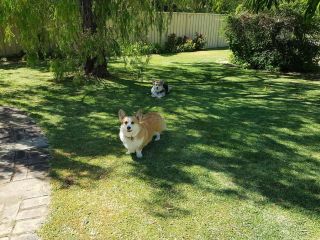 Abbey Beach Shack Guest house, Busselton - 2