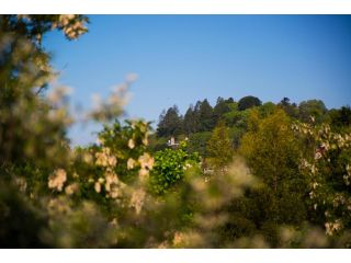 Absolute Guest house, Daylesford - 2