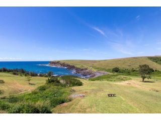 Absolute Oceanfront Cottage Guest house, Kiama - 4