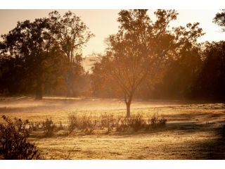 Acheron Valley Country Estate Aparthotel, Victoria - 5