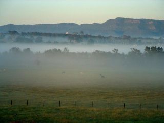 Adina Vineyard Aparthotel, Lovedale - 5