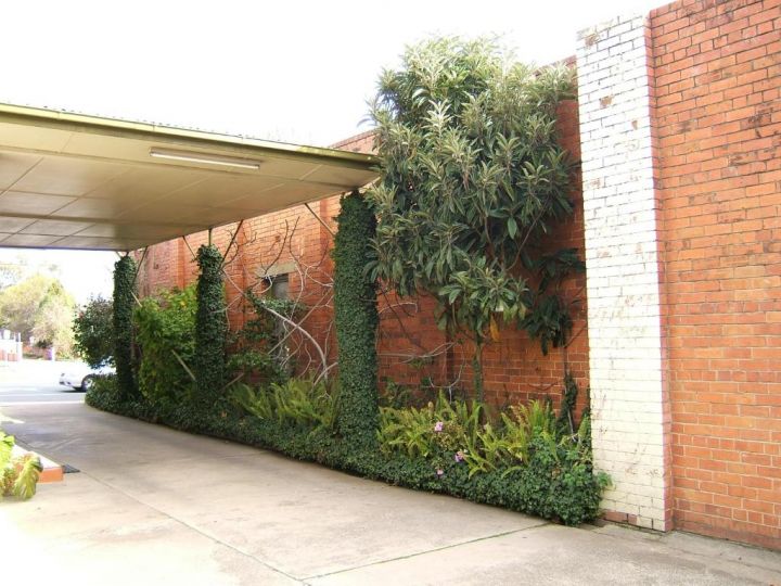 Clifton Motel Hotel, Albury - imaginea 13