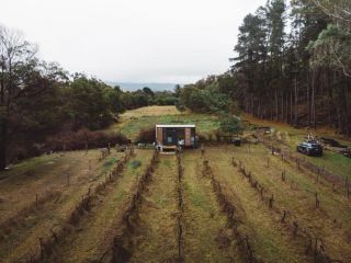 Alpaca Tiny House with Vineyard Lakeside Guest house, Victoria - 1