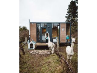 Alpaca Tiny House with Vineyard Lakeside Guest house, Victoria - 2