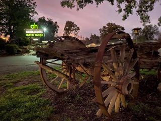 Australian Homestead Motor Lodge Hotel, Wagga Wagga - 5