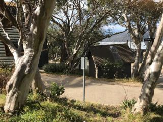 Beehive 18 Mt Buller by Alpine Holiday Rentals Apartment, Mount Buller - 1
