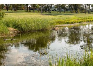 Bella Vista Stanthorpe Guest house, Stanthorpe - 5