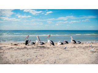 Bellarine Bayside Portarlington Campsite, Portarlington - 2