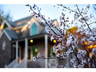 Belle Maison Guest house, Daylesford - 4