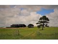 Bellevue Harvest Estate Guest house, New South Wales - thumb 6