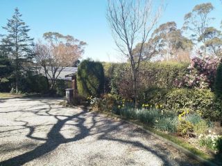 BELLEVUE Guest house, Mount Victoria - 3