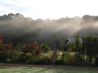 Big Brook Retreat Guest house, Pemberton - 1