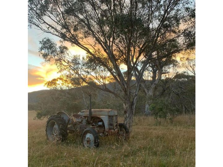 Big Yard Escapes Campsite, New South Wales - imaginea 2