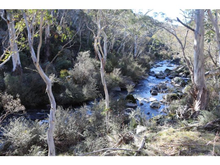 Big Yard Escapes Campsite, New South Wales - imaginea 7