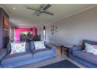 Birdland - Bold, unique and modern Guest house, Port Fairy - 5