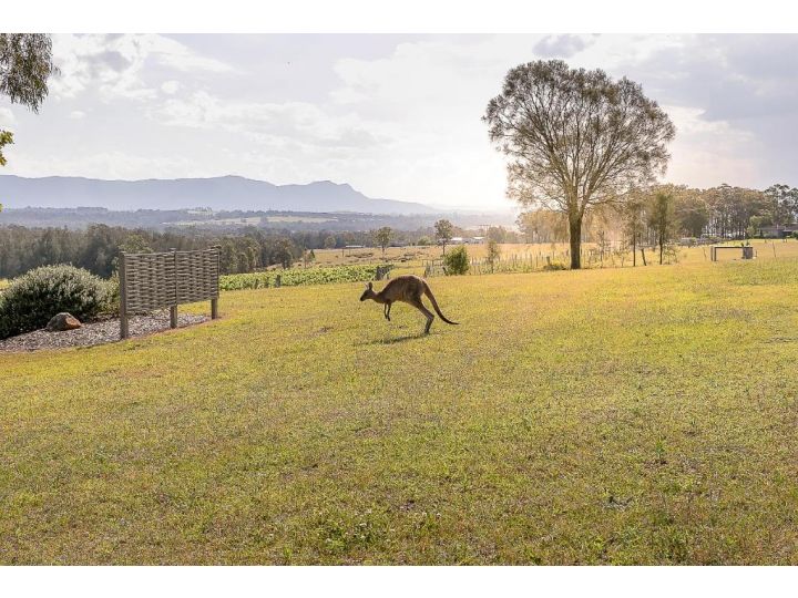 Blackwattle Retreats Apartment, Lovedale - imaginea 17