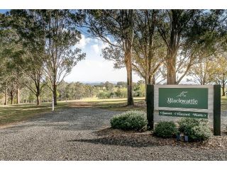 Blackwattle Retreats Apartment, Lovedale - 2