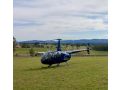 Blackwattle Retreats Apartment, Lovedale - thumb 7