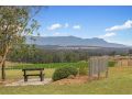 Blackwattle Retreats Apartment, Lovedale - thumb 12