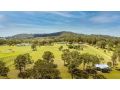 Blackwattle Retreats Apartment, Lovedale - thumb 1