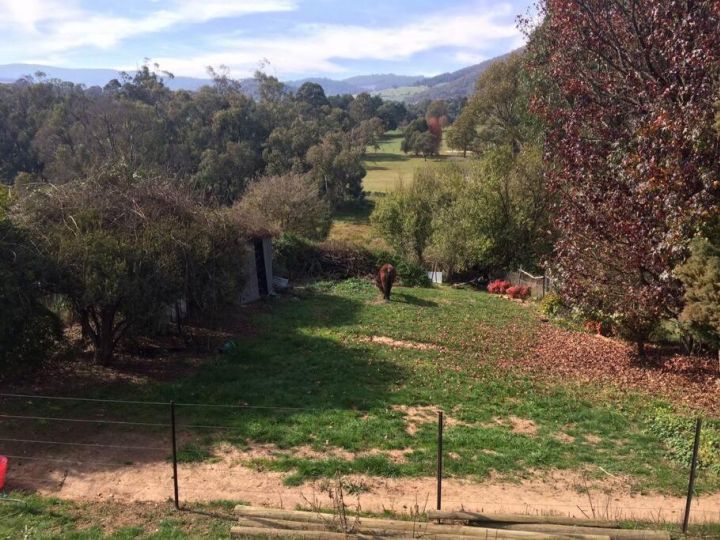 Blue Cockatoo - Humble Home Gorgeous View Guest house, Tumbarumba - imaginea 9