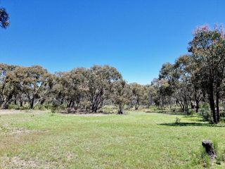 Ryder Homestead and Cabins Guest house, New South Wales - 3