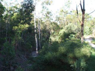 Bungadoo Country Cottage Guest house, Queensland - 5