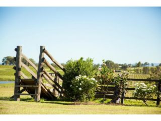 Burncroft Guesthouse Guest house, Lovedale - 1