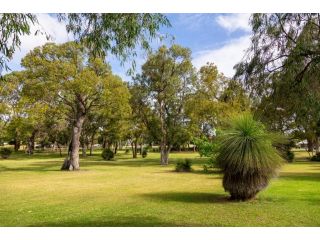 Camellia Cottage - PET FRIENDLY - Kwinana Guest house, Western Australia - 1