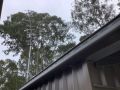 Canungra Valley Views Guest house, Queensland - thumb 8