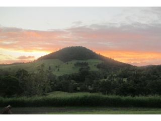 CBR Equine Cottage Farm stay, Queensland - 1