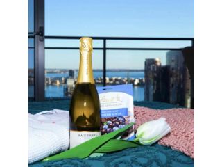 CENTRAL CBD EXEC STUNNING VIEW WIFI NETFLIX WINE Apartment, Perth - 4