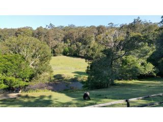 Central Coast Alpaca Farm Stay Guest house, New South Wales - 3