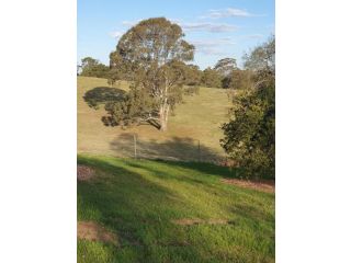 Charolais Cottage Guest house, New South Wales - 3