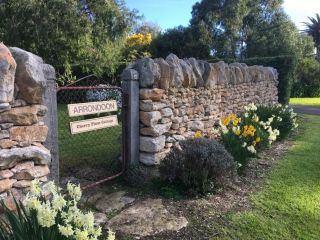 Cherry Plum Cottages Guest house, Port Fairy - 5