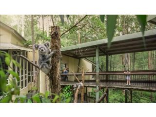 Springwood Meditation Centre æ˜¥æœ¨ç¦ªä¿®æ¸¡å‡ä¸­å¿ƒ Hotel, Queensland - 2