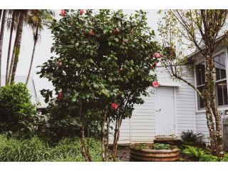 Circa a 1930s house set in Byron Bay Hinterlands Villa, New South Wales - 5