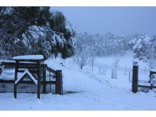 Comfortable 3 bedroom holiday cottage on acres Guest house, Jindabyne - 1