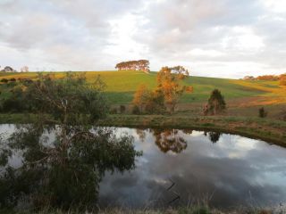 Walnut Cottage via Leongatha Guest house, Victoria - 5