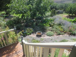 Walnut Cottage via Leongatha Guest house, Victoria - 3