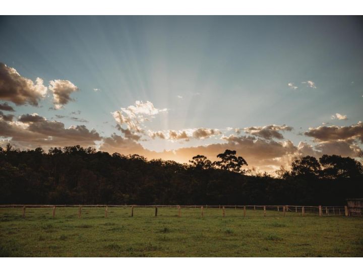 Country Retreat on 100 acres Guest house, New South Wales - imaginea 19