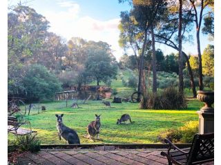 Countryside Retreat Spa Cottage Hepburn - Daylesford Apartment, Hepburn Springs - 2