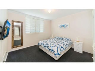 Craigmore Unit 7 Apartment, Yamba - 3