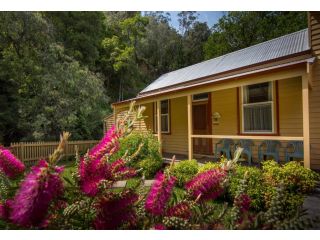 Creek Cottage Apartment, Walhalla - 4