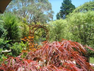 Crimson Villa Guest house, Katoomba - 3