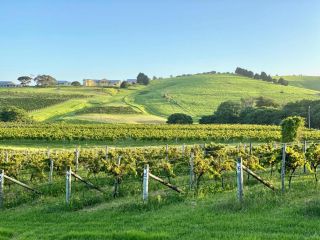 Crooked River Wines Estate House, Gerringong Guest house, Gerringong - 2