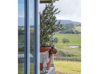 Crooked River Wines Estate House, Gerringong Guest house, Gerringong - 5